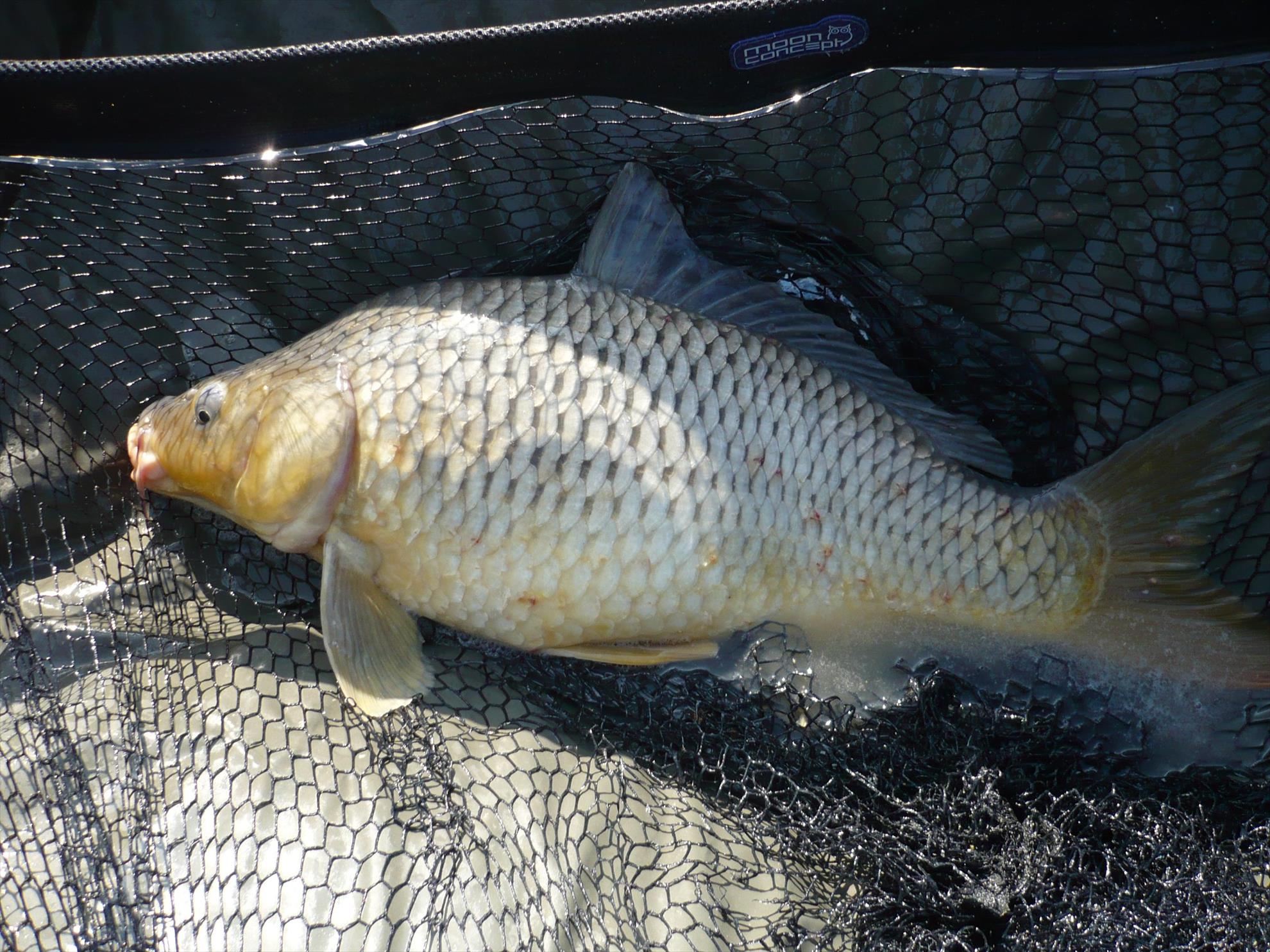 MV2 - 24.OCT.2013 - p1010834.JPG